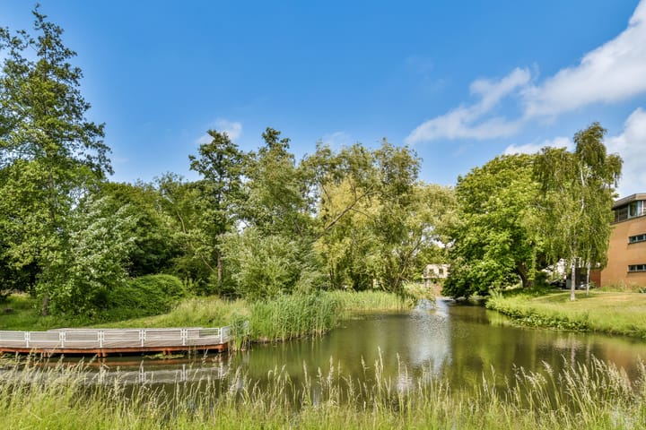 Foto 4 van Spyridon Louisweg 103