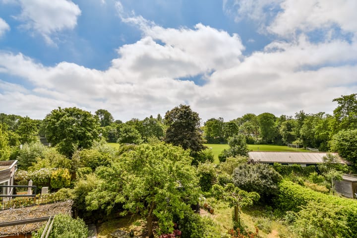 Foto 40 van Spyridon Louisweg 103