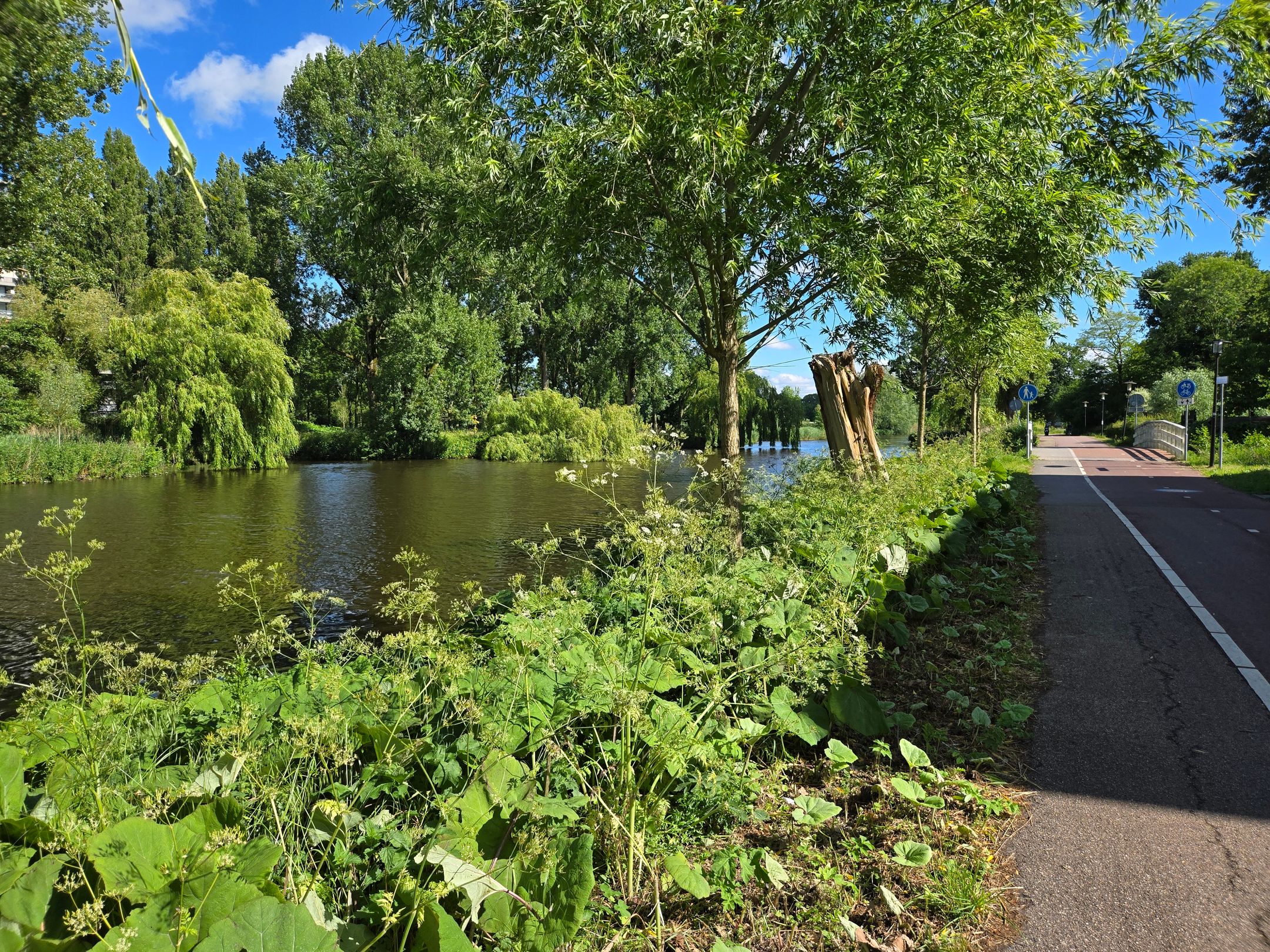 Foto 33 van Machiel van Marlepad 2