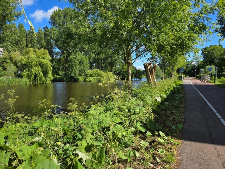 Foto 33 van Machiel van Marlepad 2