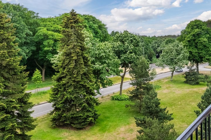 Foto 5 van Wilgenstraat 31