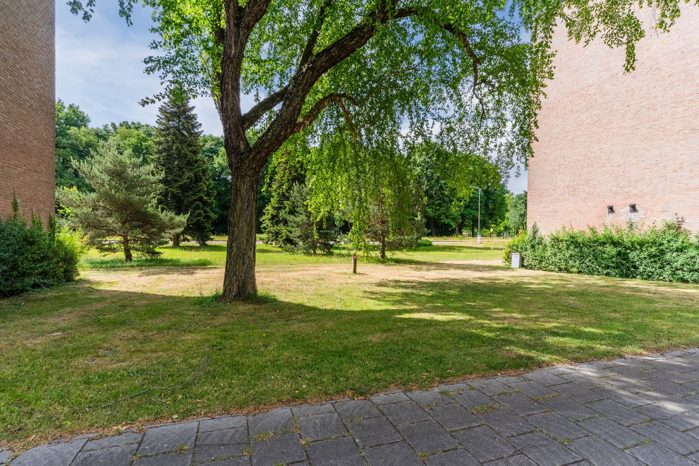 Photo 34 of Wilgenstraat 31
