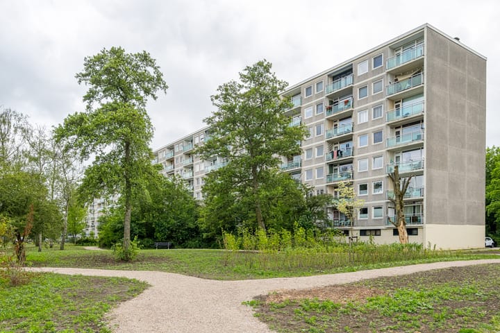 Foto 11 van Lepelaarsingel 332