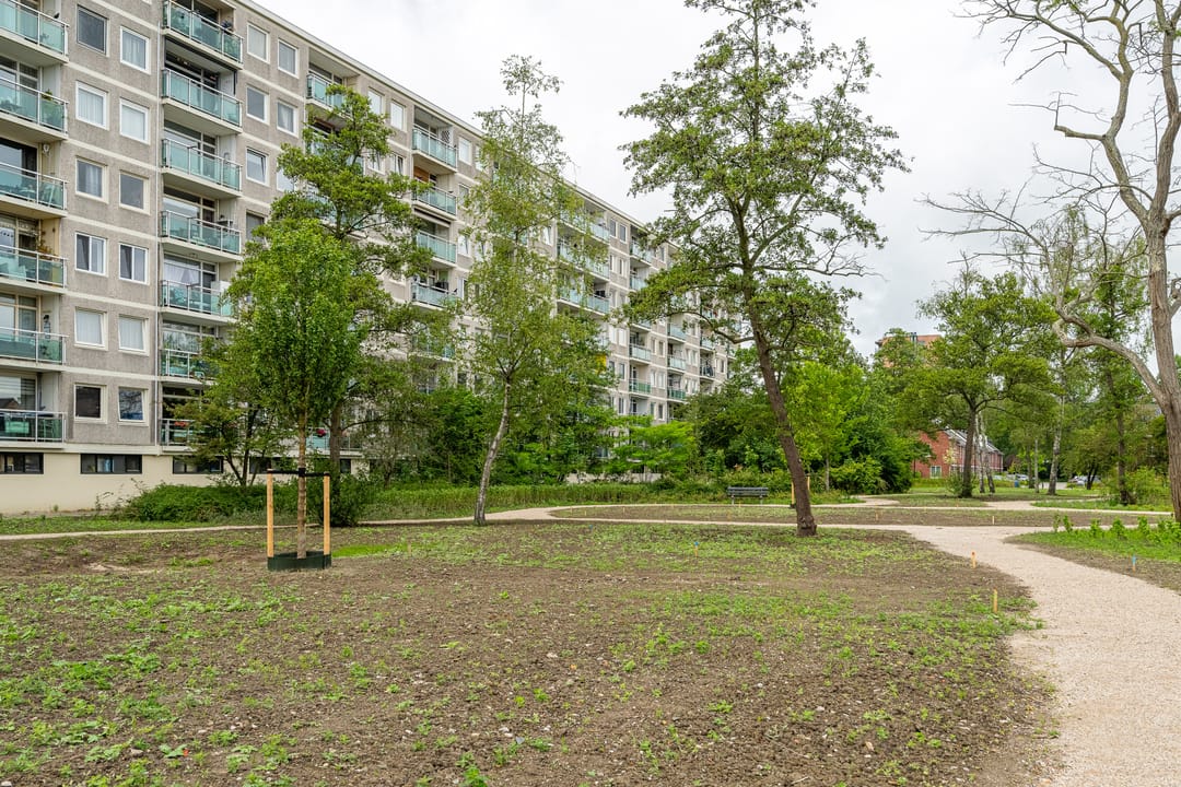 Foto 13 van Lepelaarsingel 332