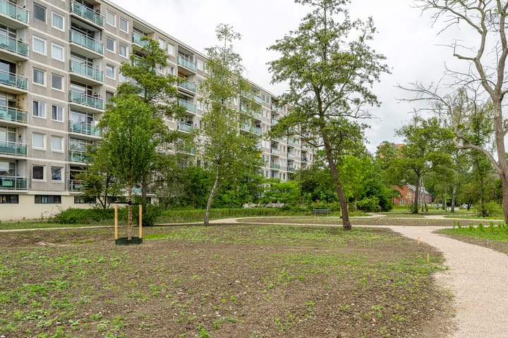 Foto 13 van Lepelaarsingel 332