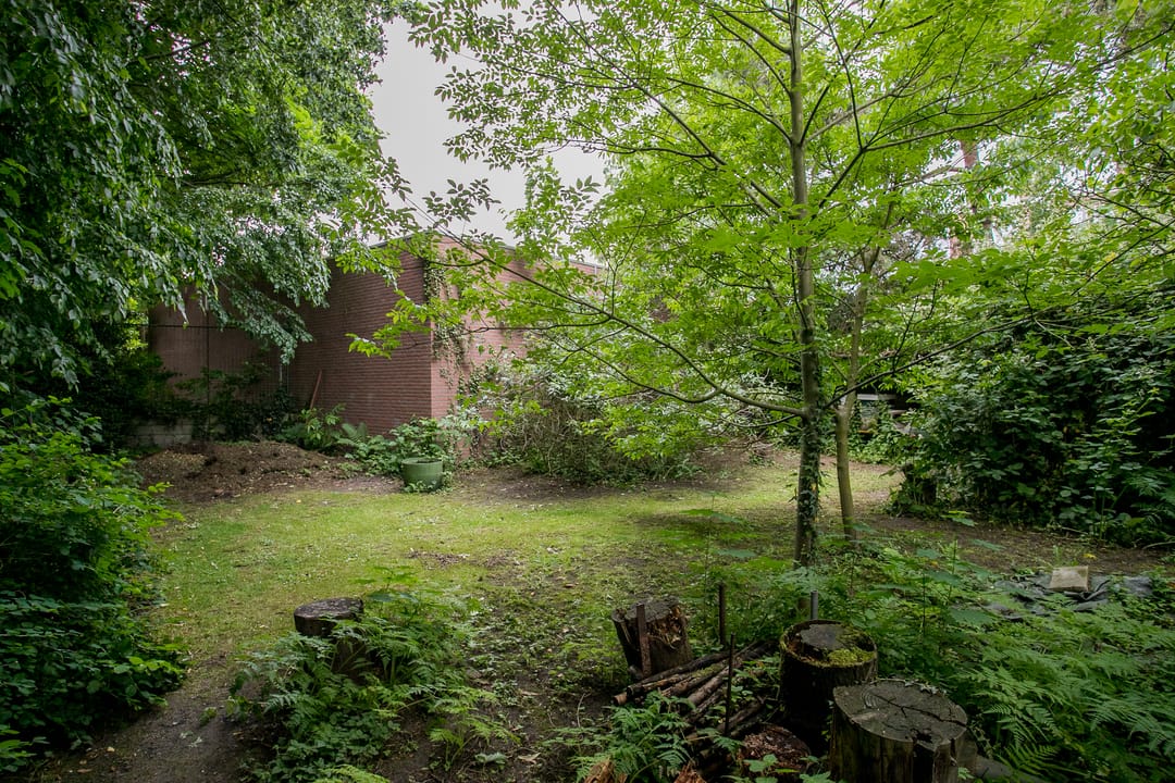 Photo 46 of Muntstraat 14