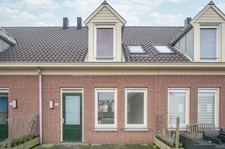 undefined main image