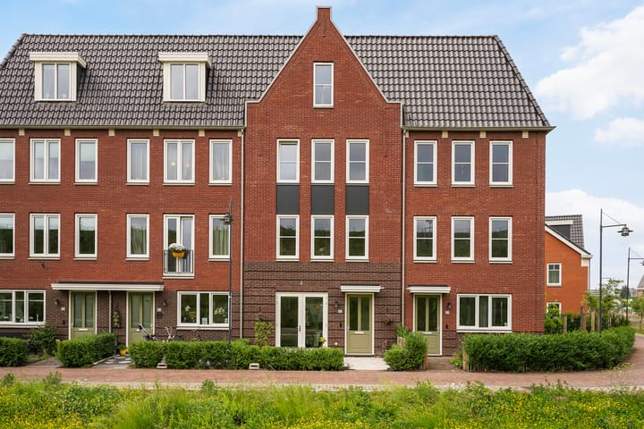 Bekijk foto van Pluis 16