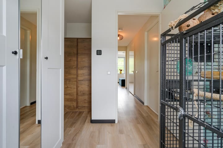 Foto 23 van Pluis 16