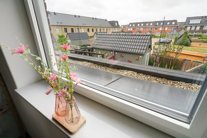 Foto 35 van Pluis 16