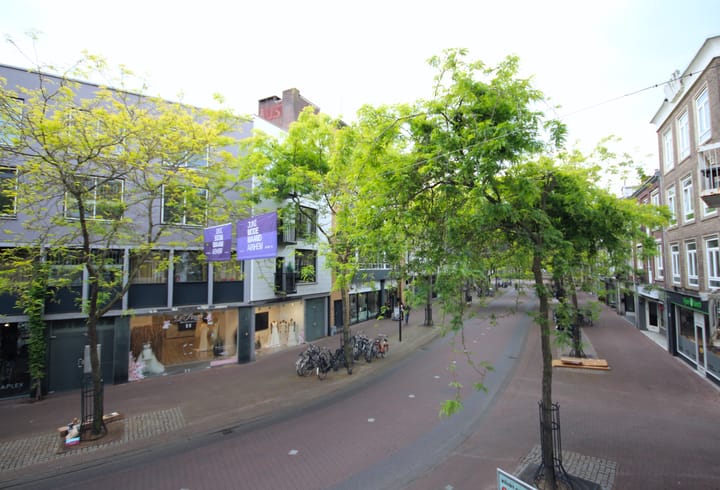 Foto 24 van Looierstraat 20-1