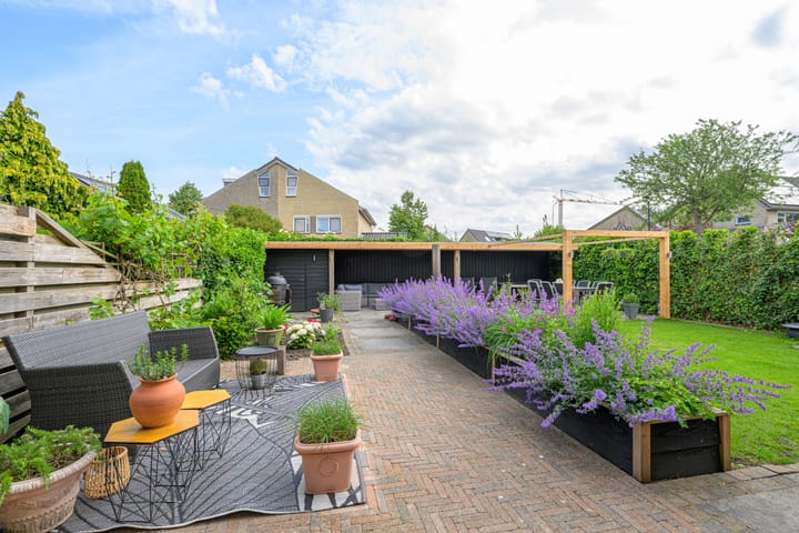 Foto 16 van Keizerfazant 23