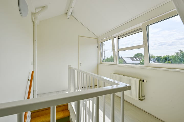 Foto 31 van Keizerfazant 23