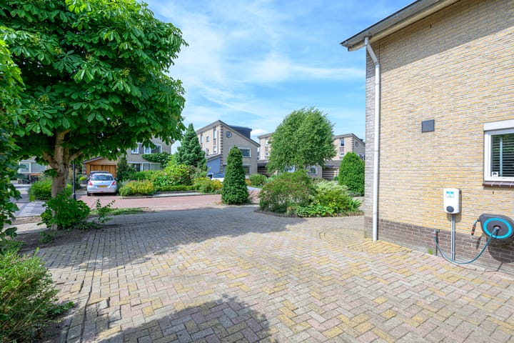 Foto 35 van Keizerfazant 23