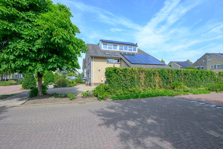 Foto 36 van Keizerfazant 23