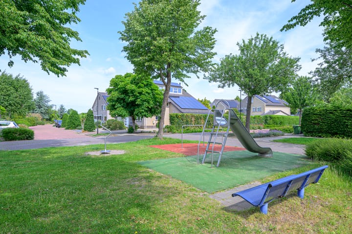 Foto 39 van Keizerfazant 23