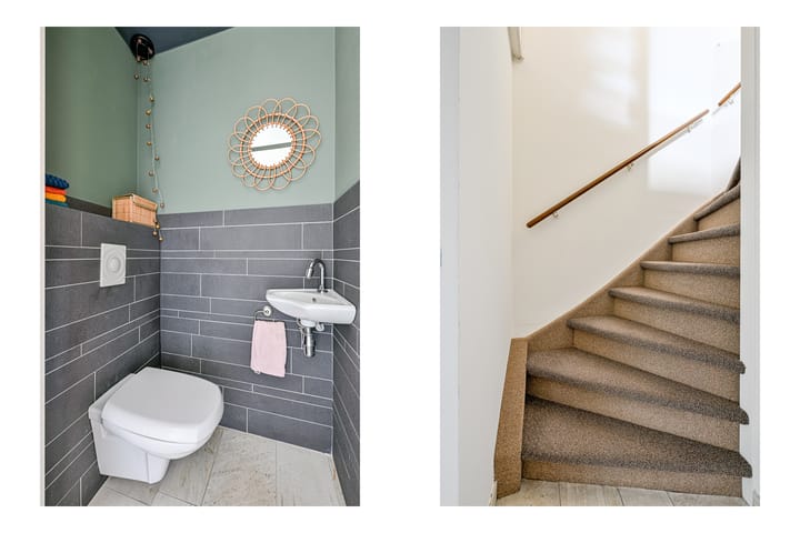 Foto 21 van Keizerfazant 23