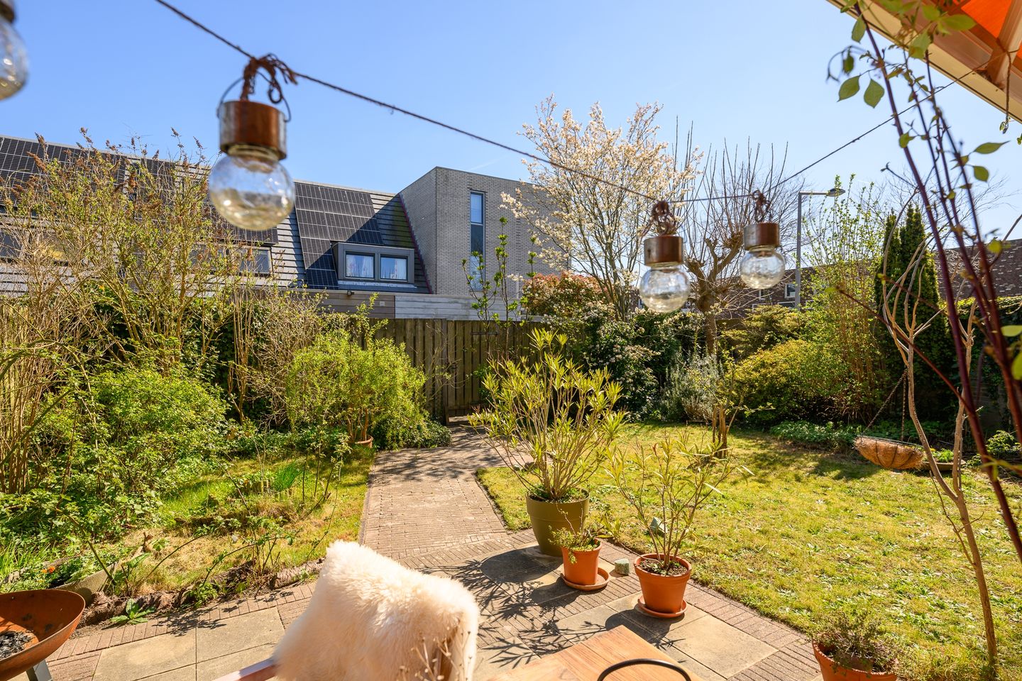 Foto 20 van Brilduikerstraat 2