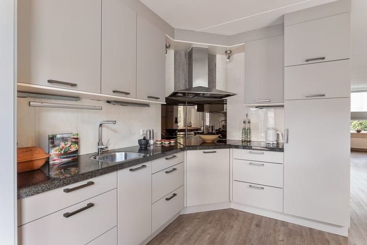 Foto 8 van Zilverschoon 21