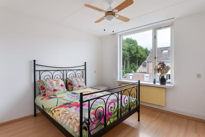 Foto 12 van Zilverschoon 21