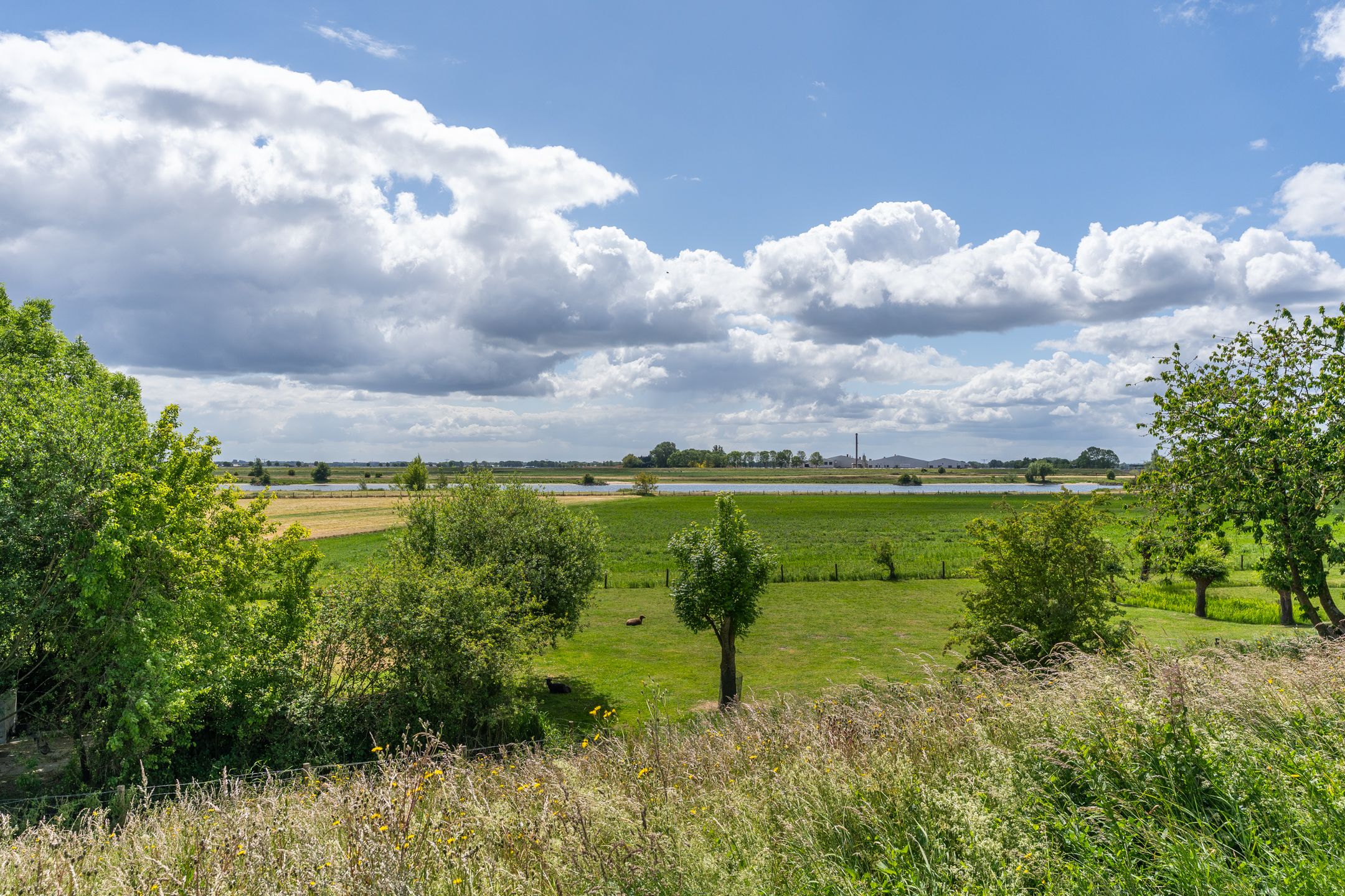 Foto 48 van Wellsedijk 12