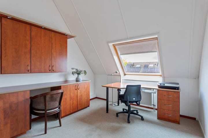 Foto 12 van Engelwortel 5