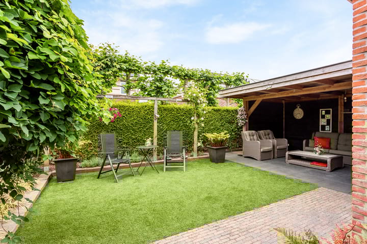 Foto 15 van Engelwortel 5