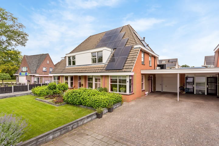 Foto 16 van Engelwortel 5