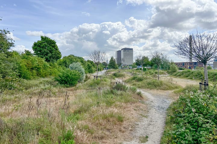 Foto 37 van Russischestraat 74-B02