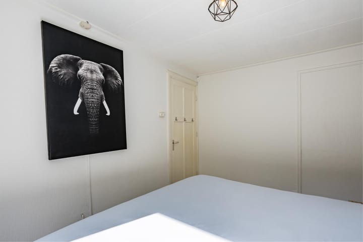 Foto 32 van Timorstraat 4