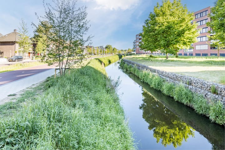 Foto 53 van Timorstraat 4