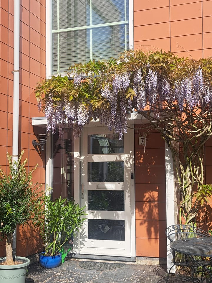 Foto 64 van Puerto Ricostraat 7