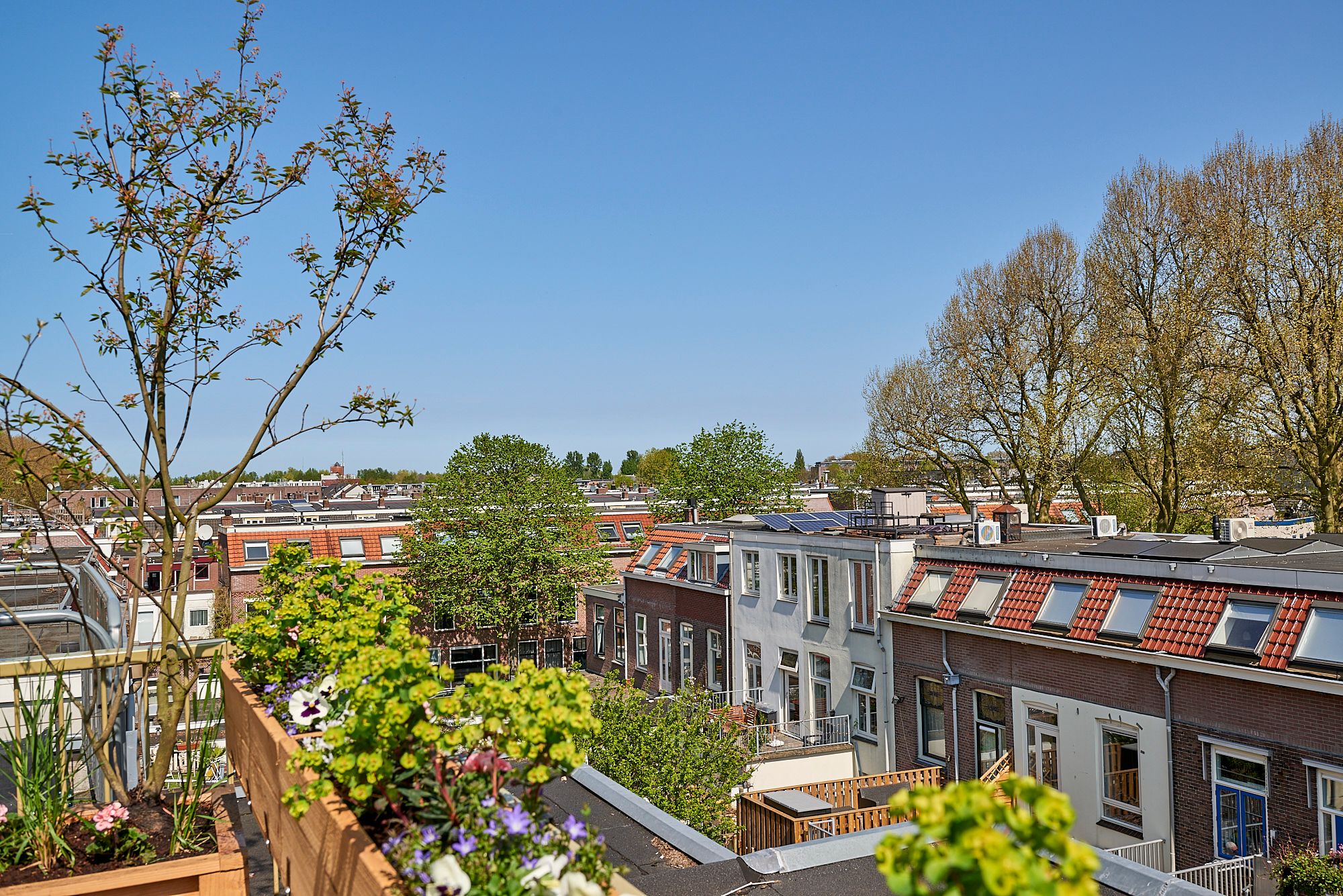 Foto 36 van Billitonkade 29-B