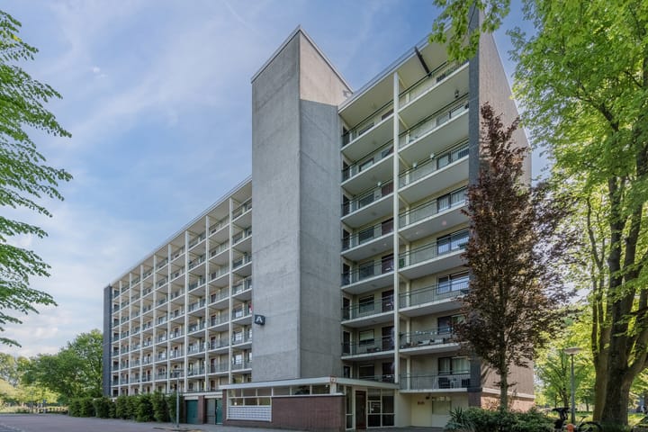 Foto 9 van Amerbos 360