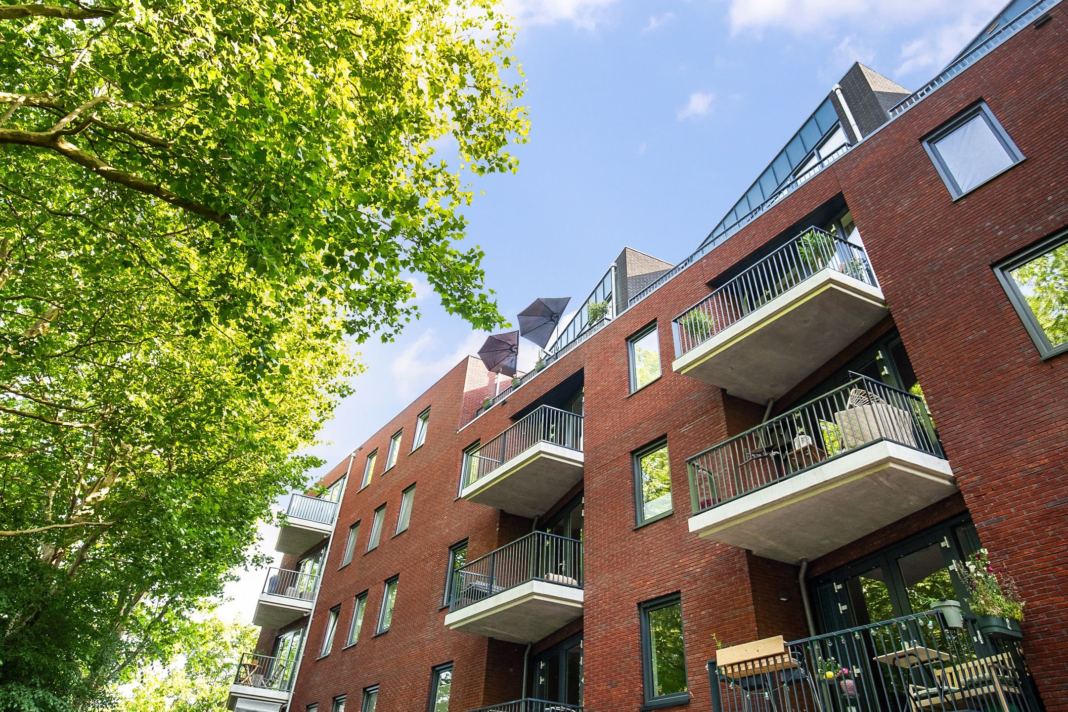 Foto 33 van Bernhardlaan 59