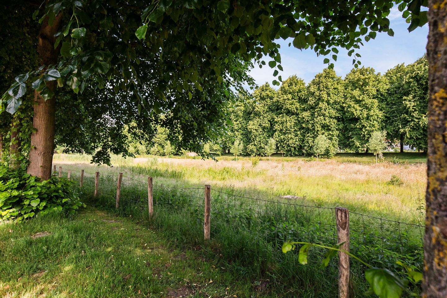 Foto 34 van Bernhardlaan 59