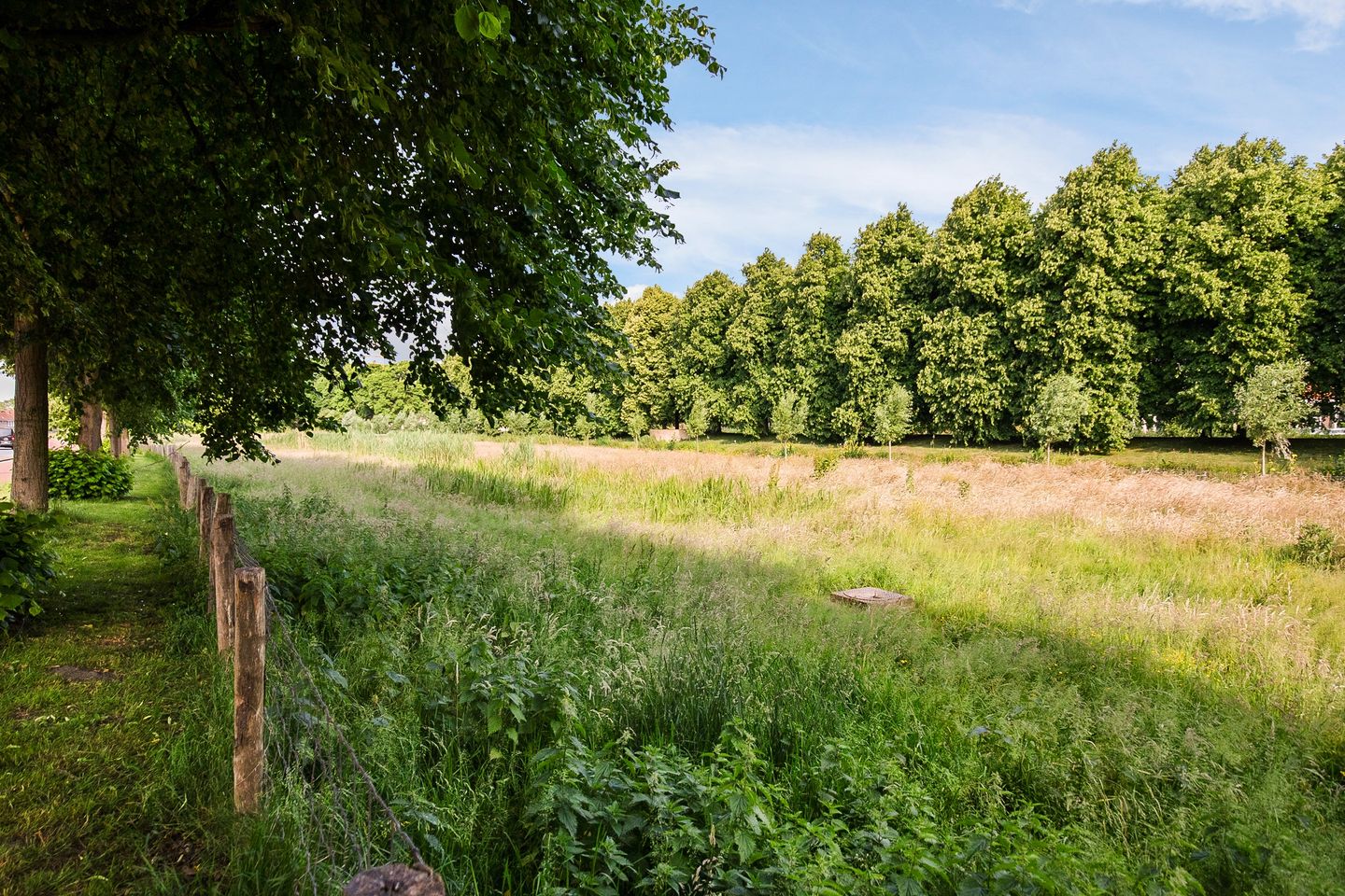 Foto 35 van Bernhardlaan 59