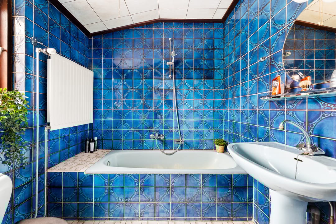 Foto 11 van Poeldijk 1