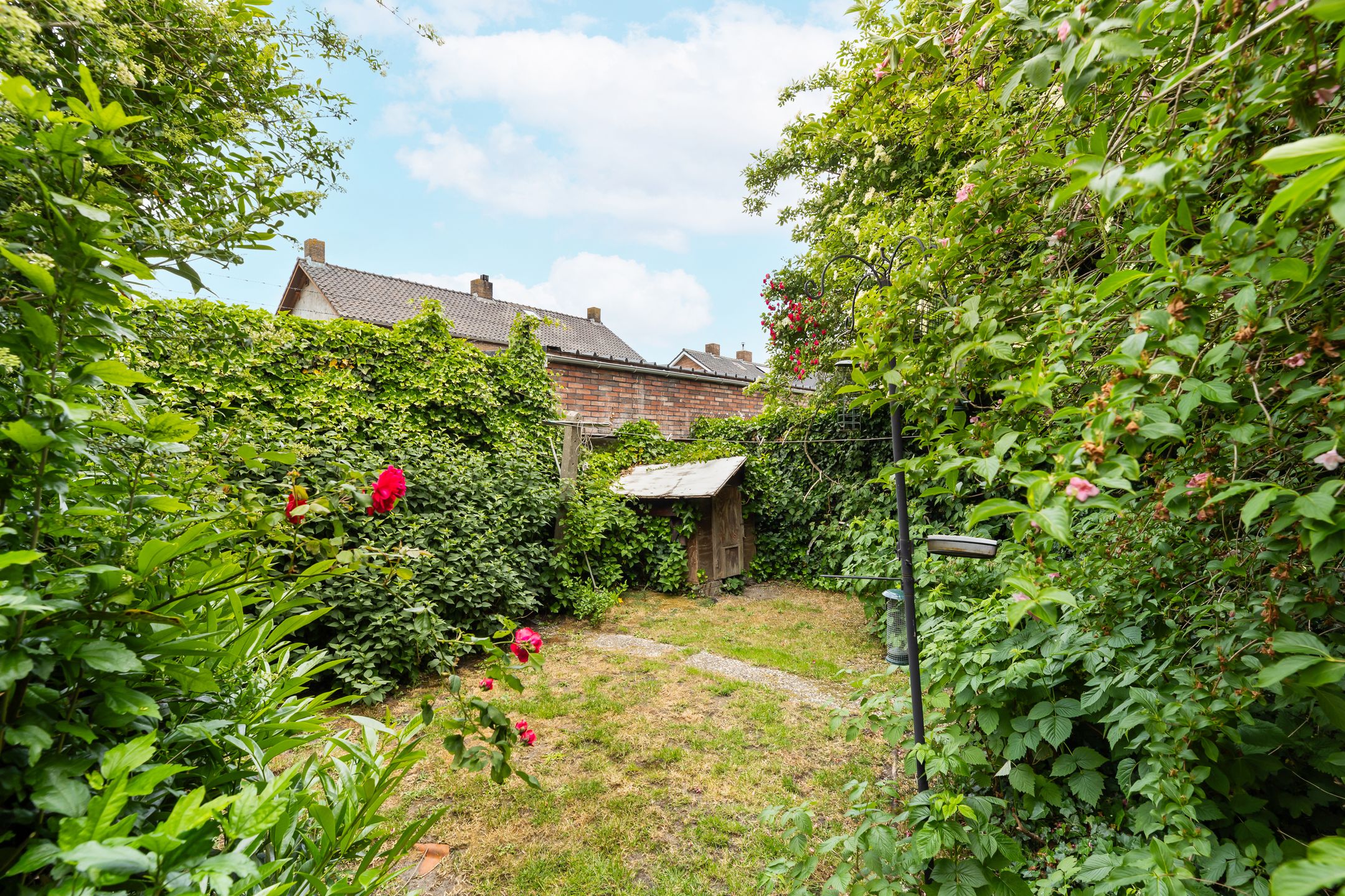 Foto 21 van Poeldijk 1