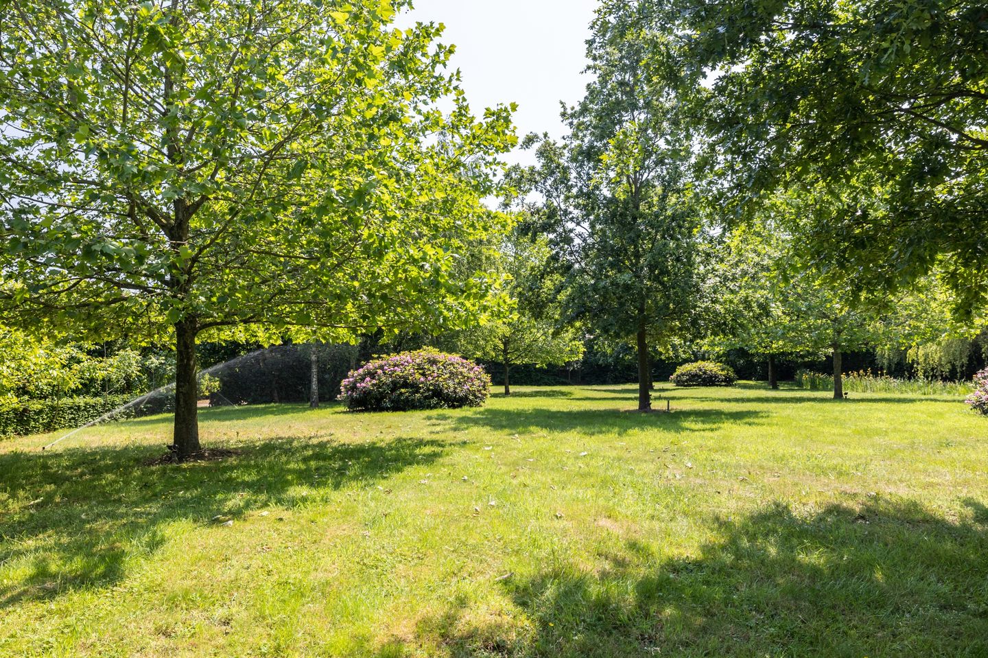 Foto 50 van Kapelstraat 28