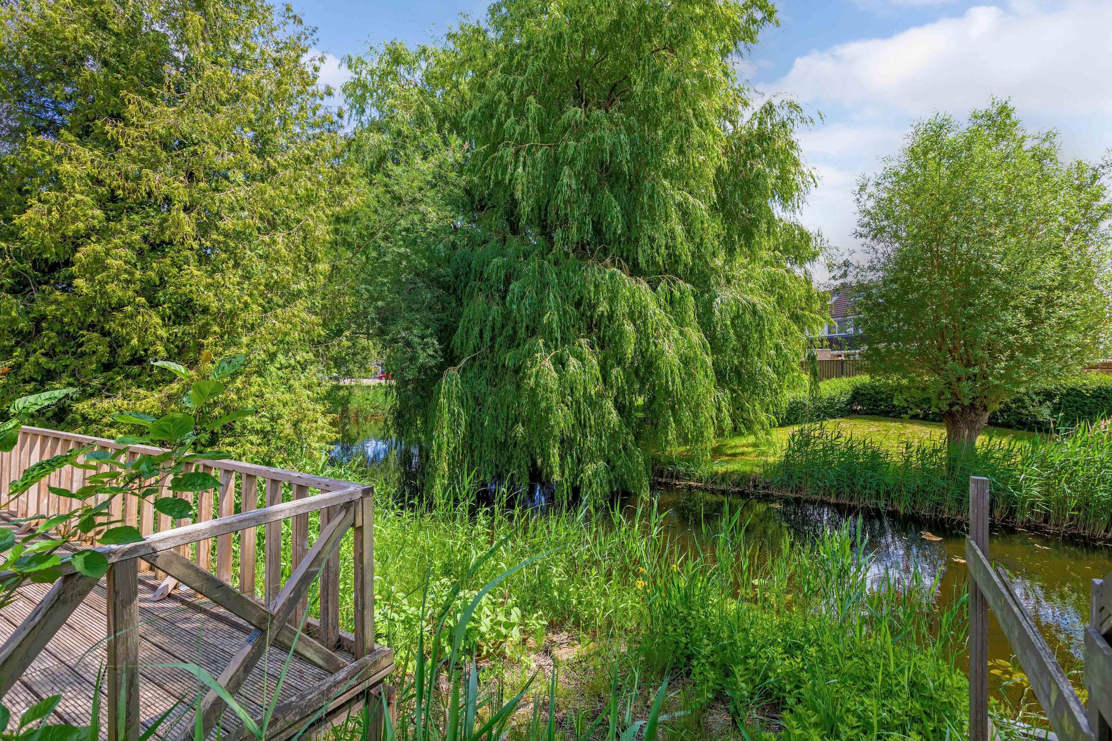 Foto 39 van Workumstraat 32