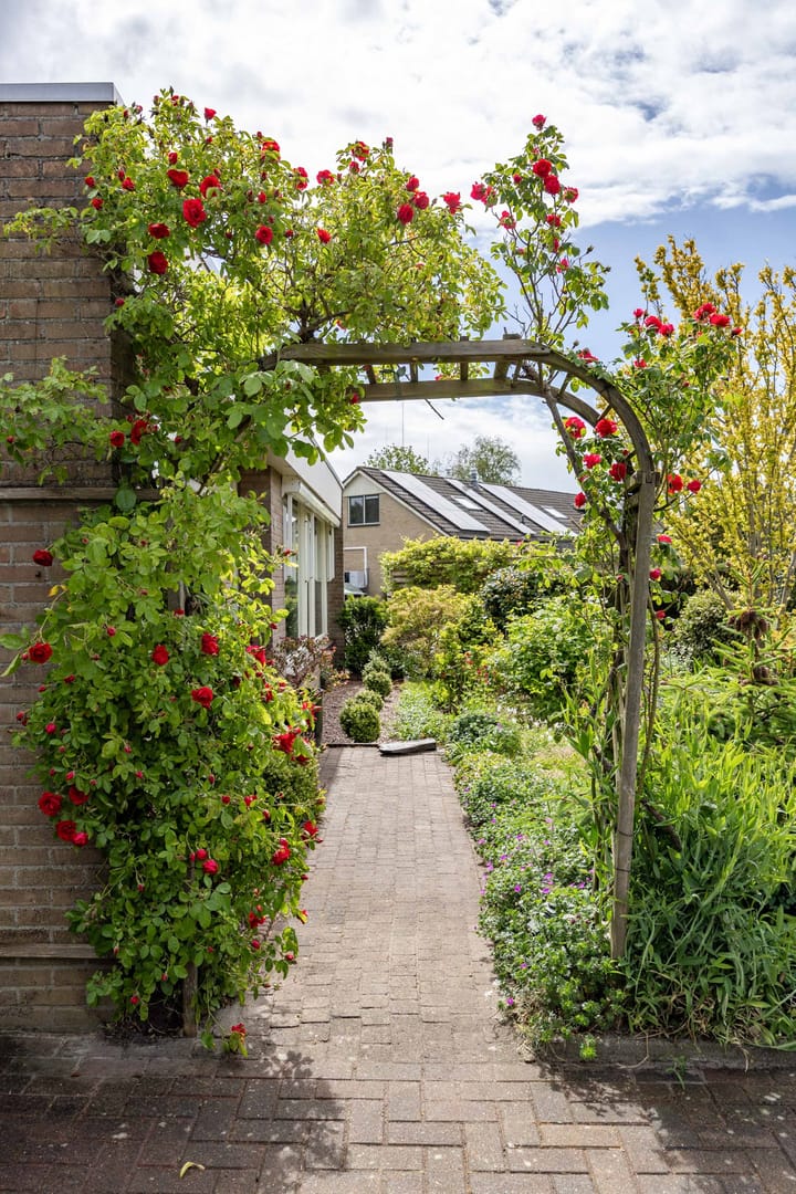 Foto 19 van Het Anker 7