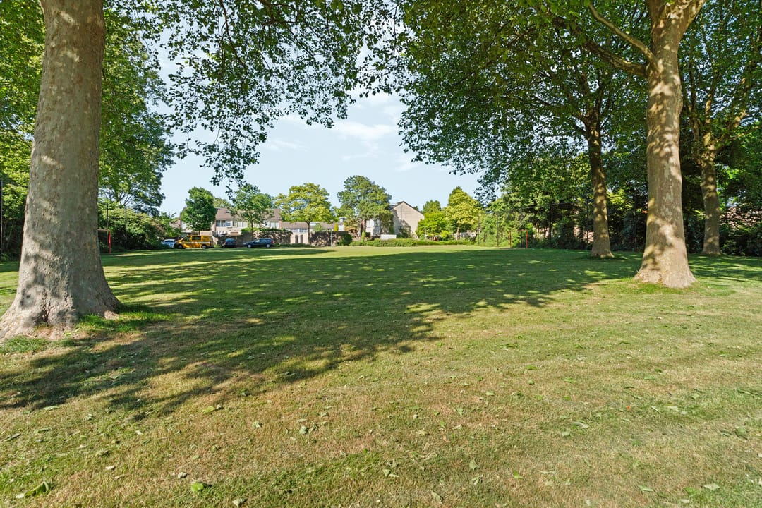 Foto 56 van 't Stegeslag 29