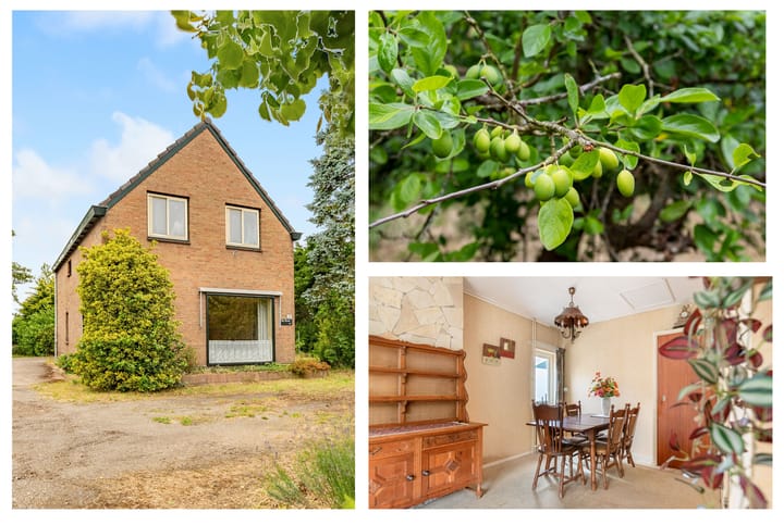 Foto 2 van Hoogeweg 25