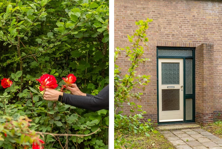 Foto 5 van Hoogeweg 25