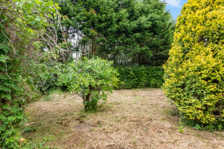 Foto 29 van Hoogeweg 25