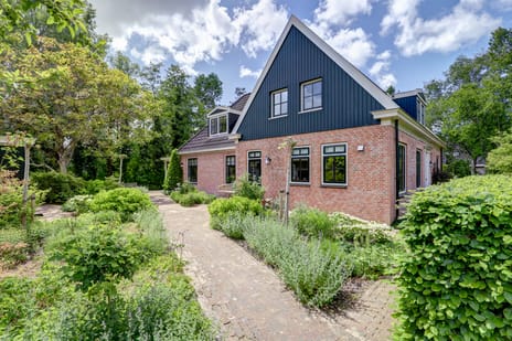 Aalscholver 3 secondary image