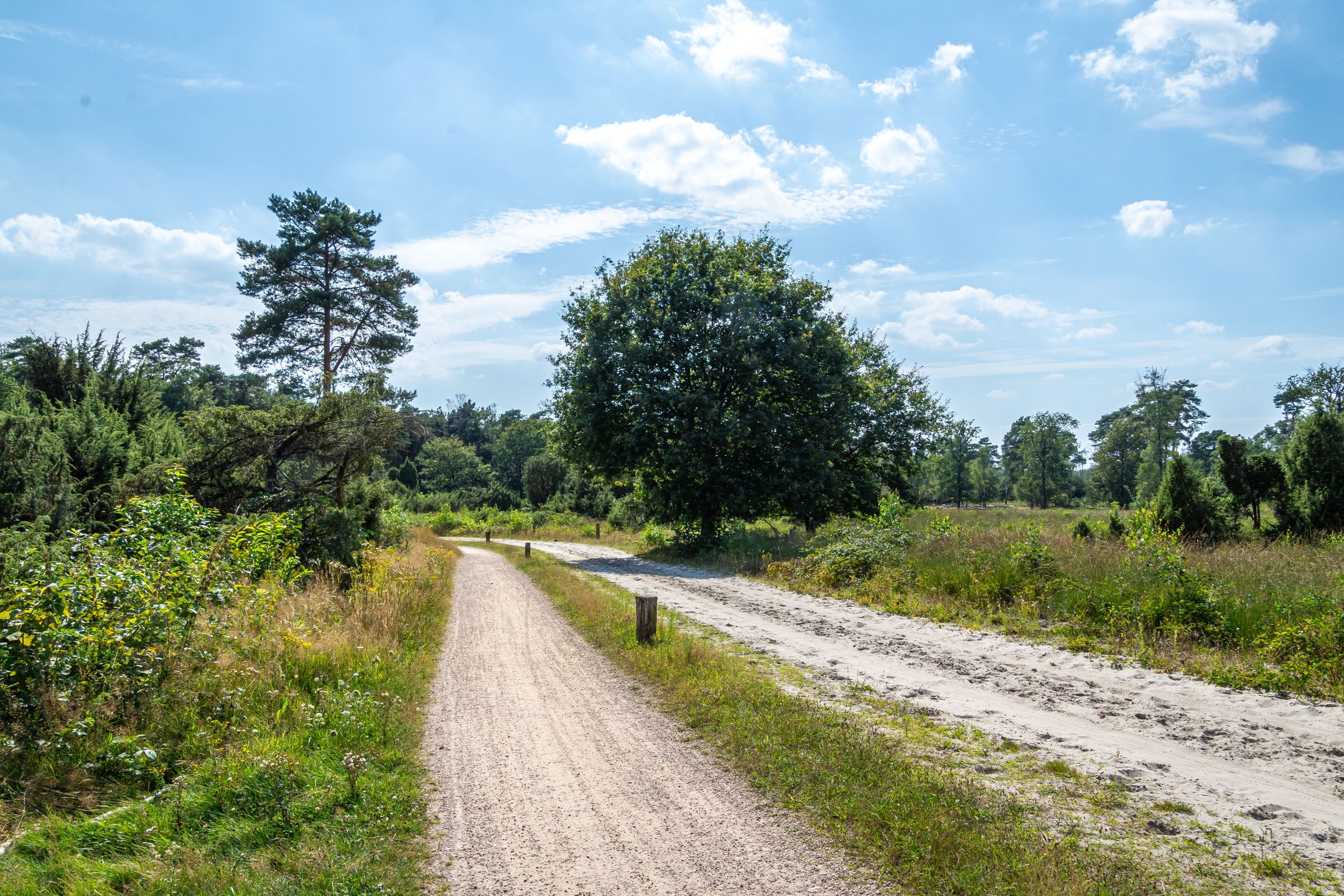 Foto 48 van Lage Esweg 73