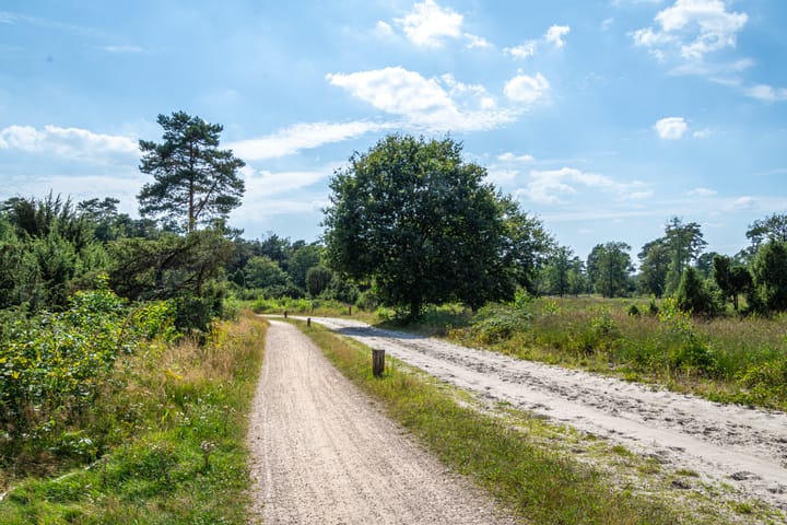 Foto 48 van Lage Esweg 73