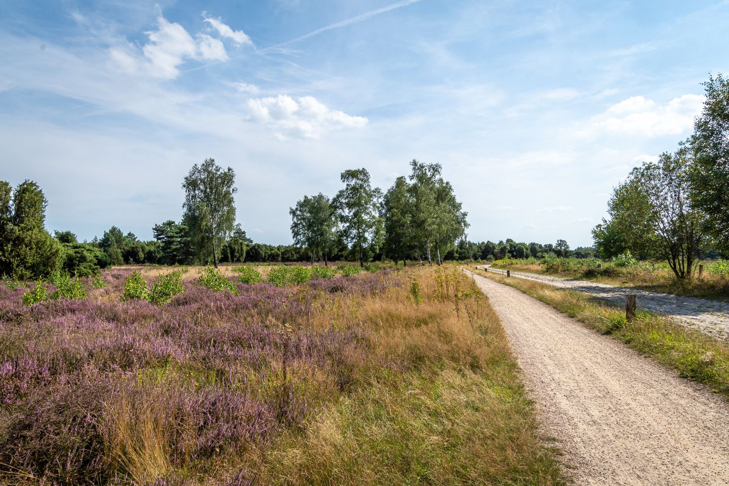 Foto 49 van Lage Esweg 73